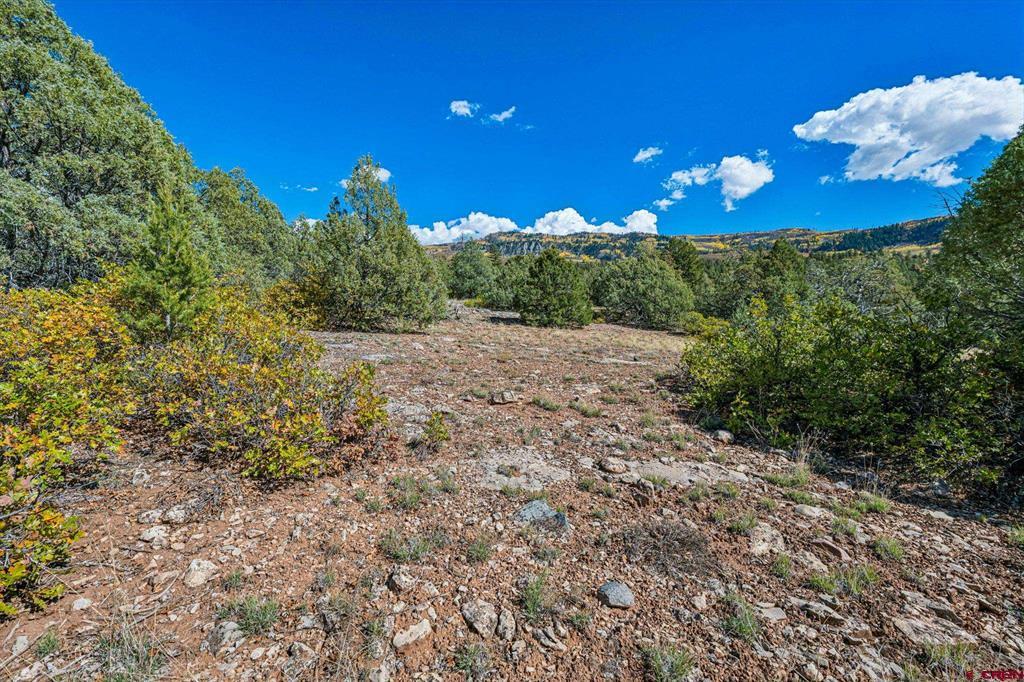 250 Becket Lake Drive Durango CO 81301