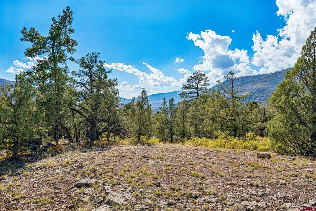 250 Becket Lake Drive Durango CO 81301
