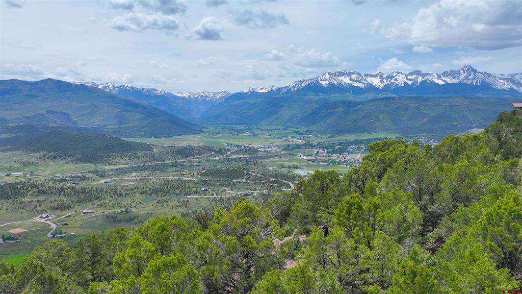 818 Pine Drive Ridgway CO 81432