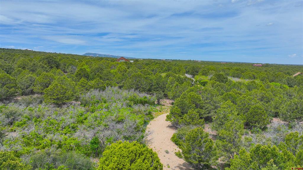 818 Pine Drive Ridgway CO 81432