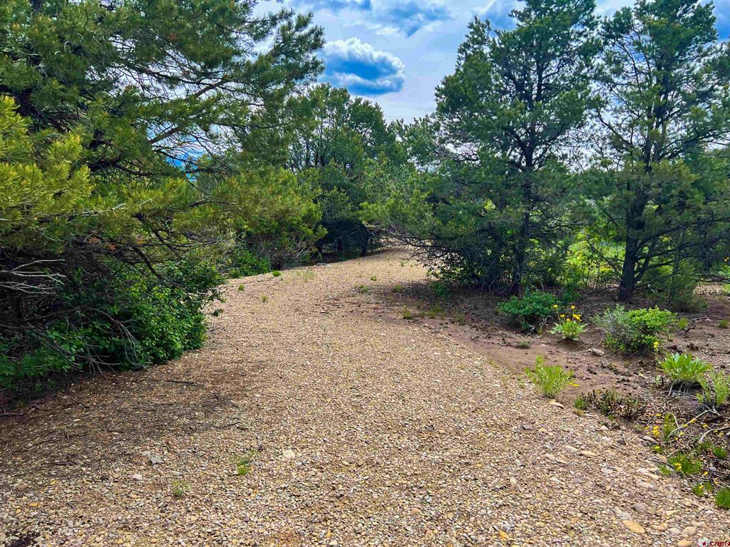 818 Pine Drive Ridgway CO 81432