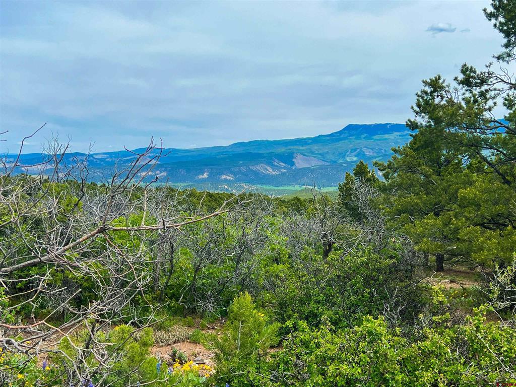 818 Pine Drive Ridgway CO 81432