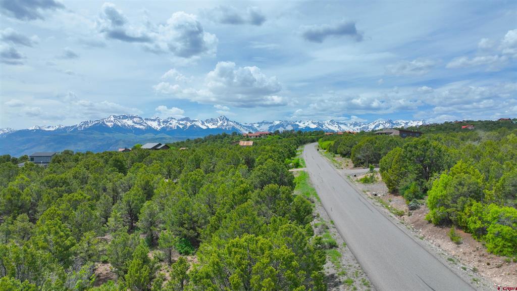 818 Pine Drive Ridgway CO 81432
