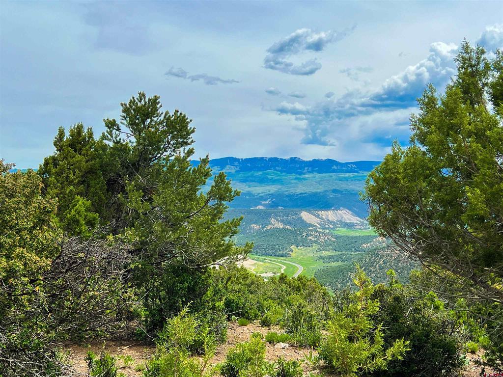 818 Pine Drive Ridgway CO 81432