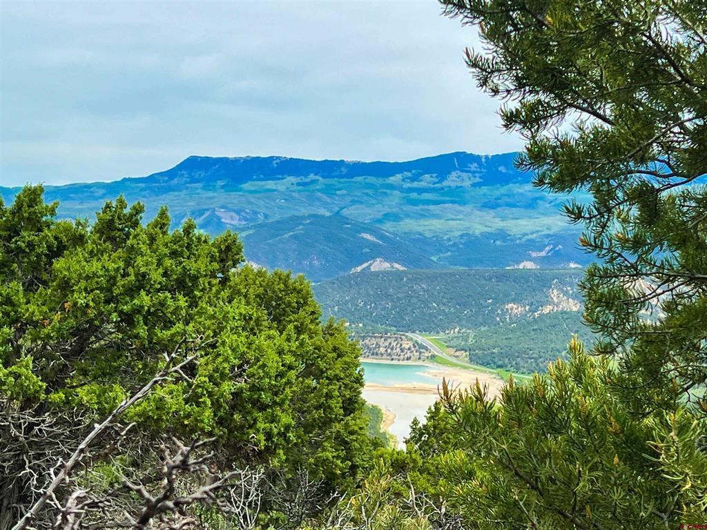 818 Pine Drive Ridgway CO 81432