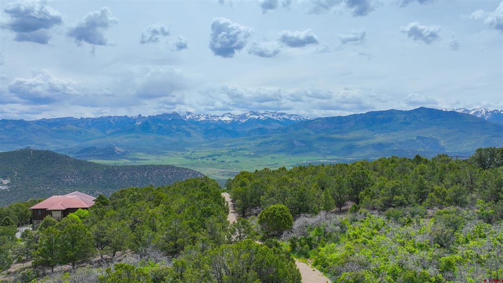 818 Pine Drive Ridgway CO 81432