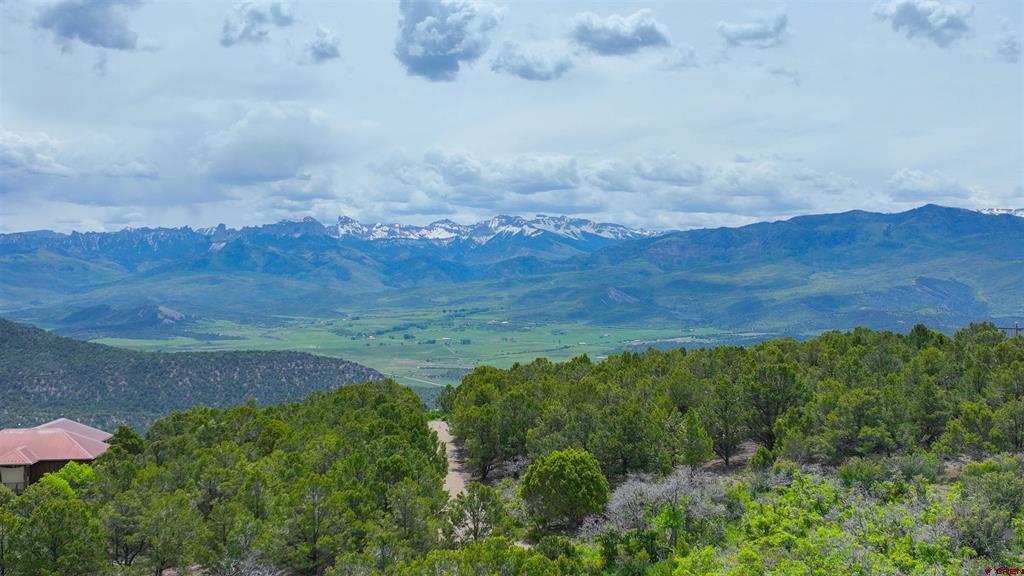 818 Pine Drive Ridgway CO 81432