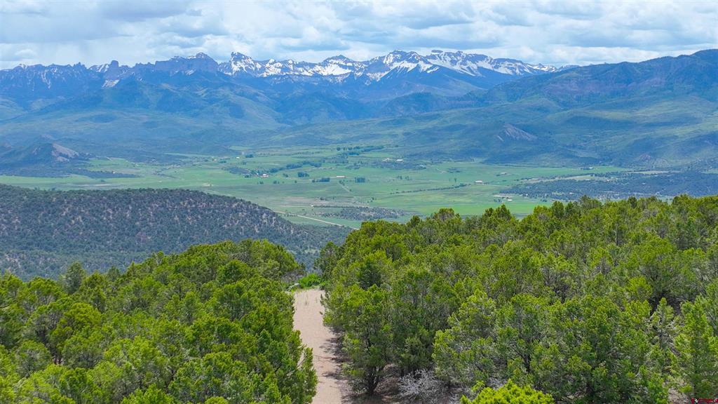 818 Pine Drive Ridgway CO 81432