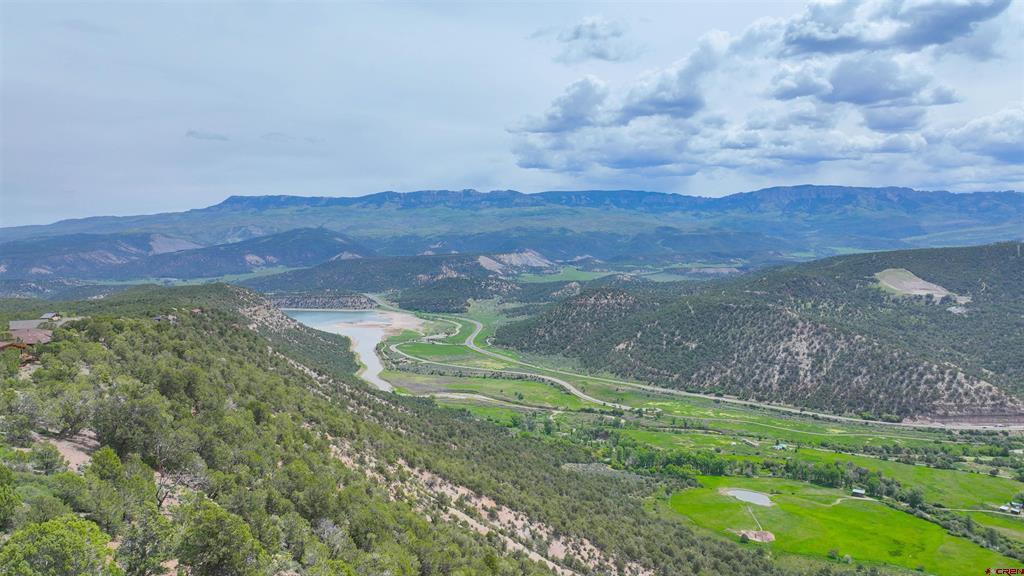 818 Pine Drive Ridgway CO 81432