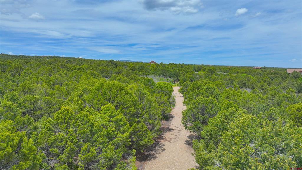 818 Pine Drive Ridgway CO 81432