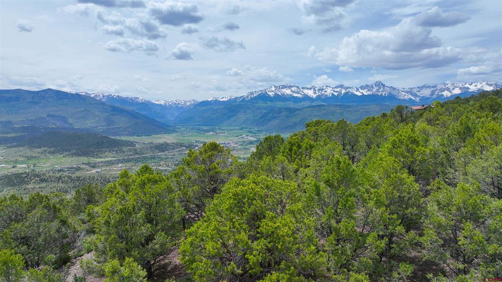 818 Pine Drive Ridgway CO 81432