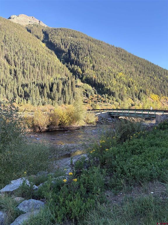 14.5 And Cement Street Silverton CO 81433