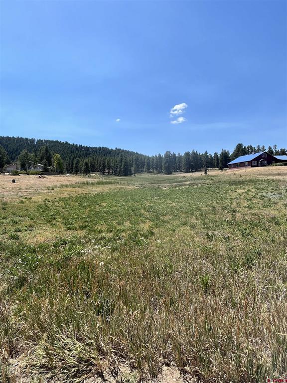 X Easy Street Pagosa Springs CO 81147