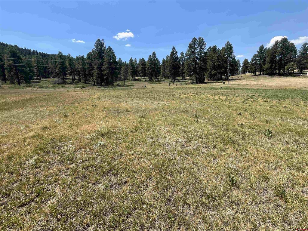 X Easy Street Pagosa Springs CO 81147