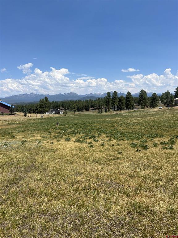 X Easy Street Pagosa Springs CO 81147