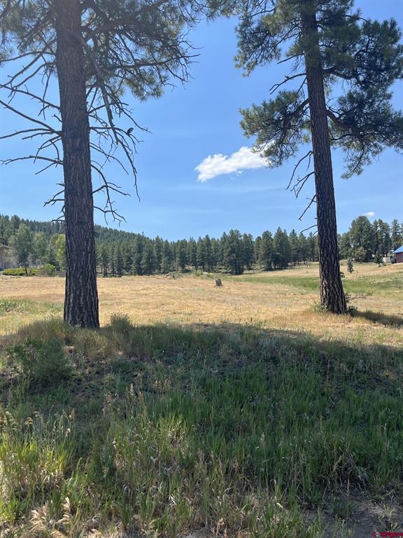 X Easy Street Pagosa Springs CO 81147