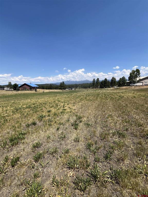 X Easy Street Pagosa Springs CO 81147