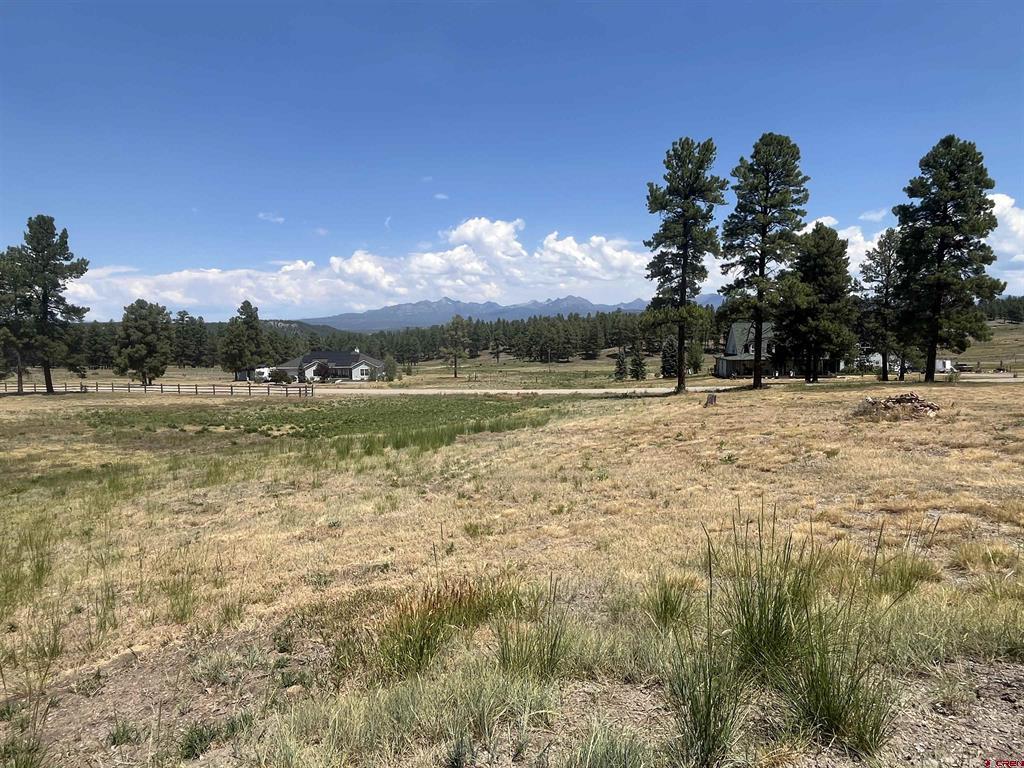 X Easy Street Pagosa Springs CO 81147