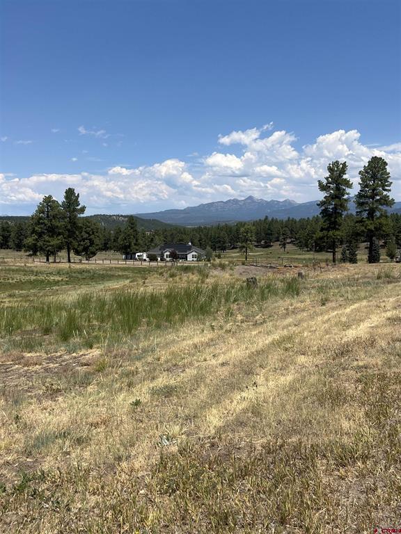 X Easy Street Pagosa Springs CO 81147