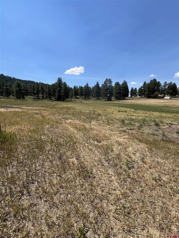 X Easy Street Pagosa Springs CO 81147