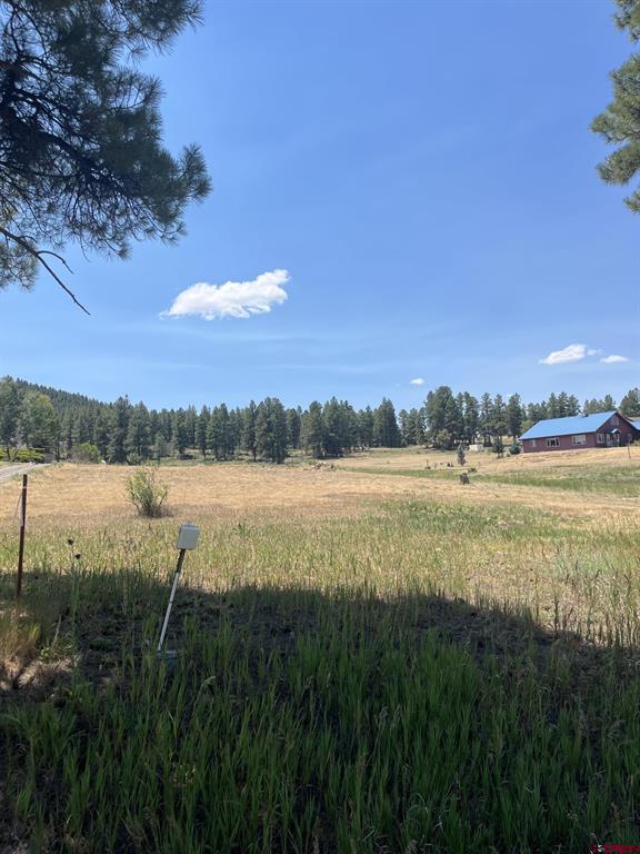 X Easy Street Pagosa Springs CO 81147