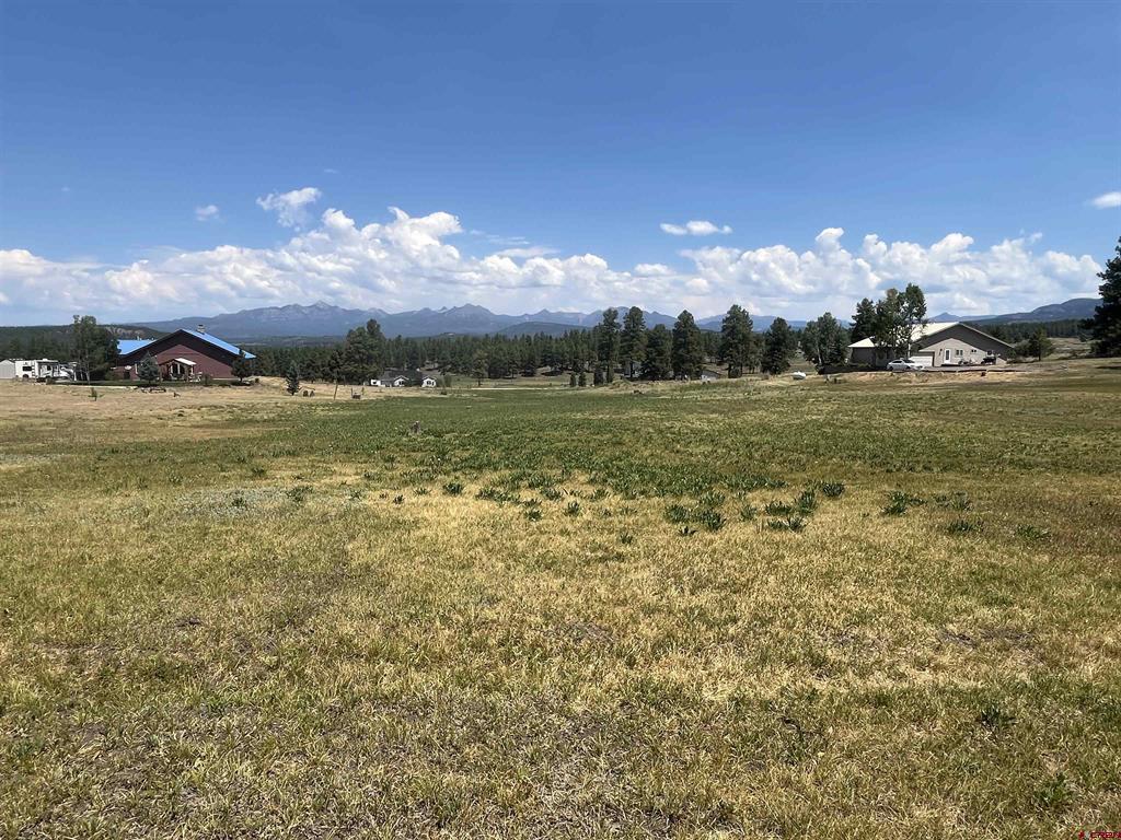 X Easy Street Pagosa Springs CO 81147