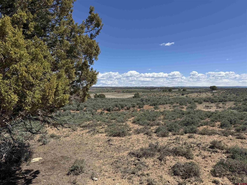 Tbd Road 22 Cortez CO 81321