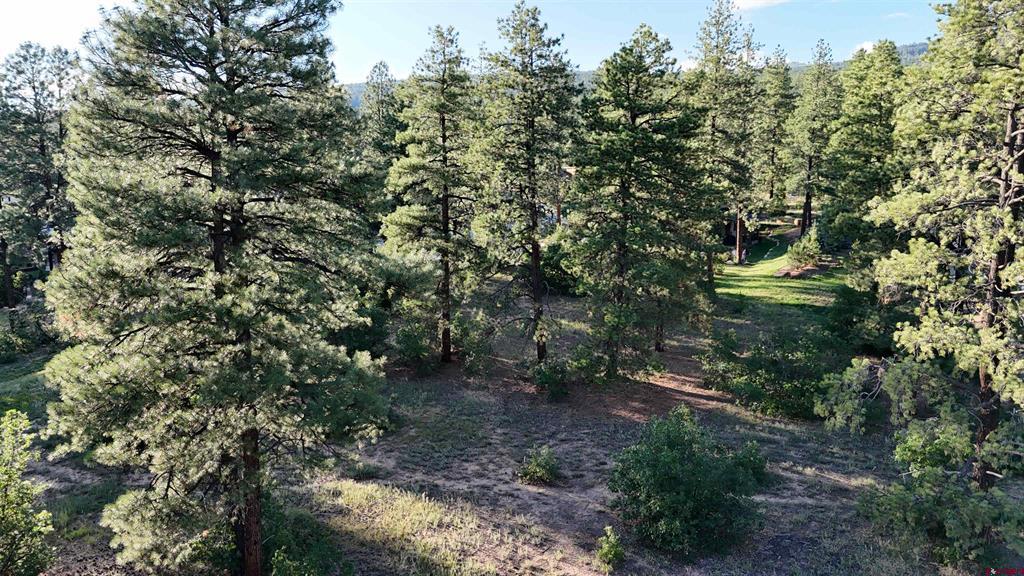 91 Engine Creek Court Durango CO 81301