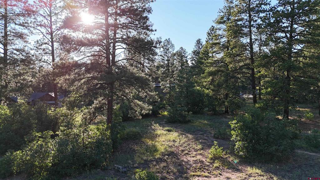 91 Engine Creek Court Durango CO 81301