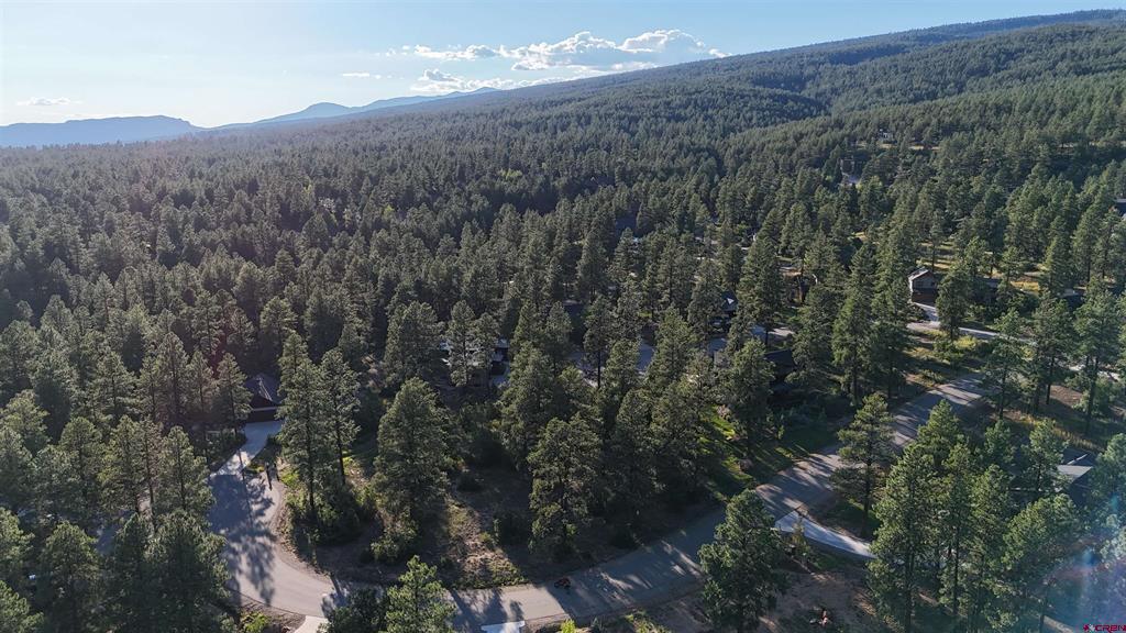 91 Engine Creek Court Durango CO 81301