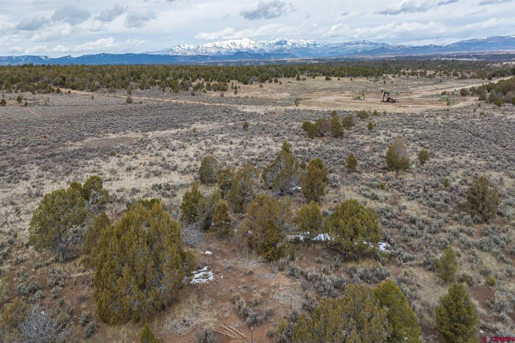 2007 Cr 318 Ignacio CO 81137