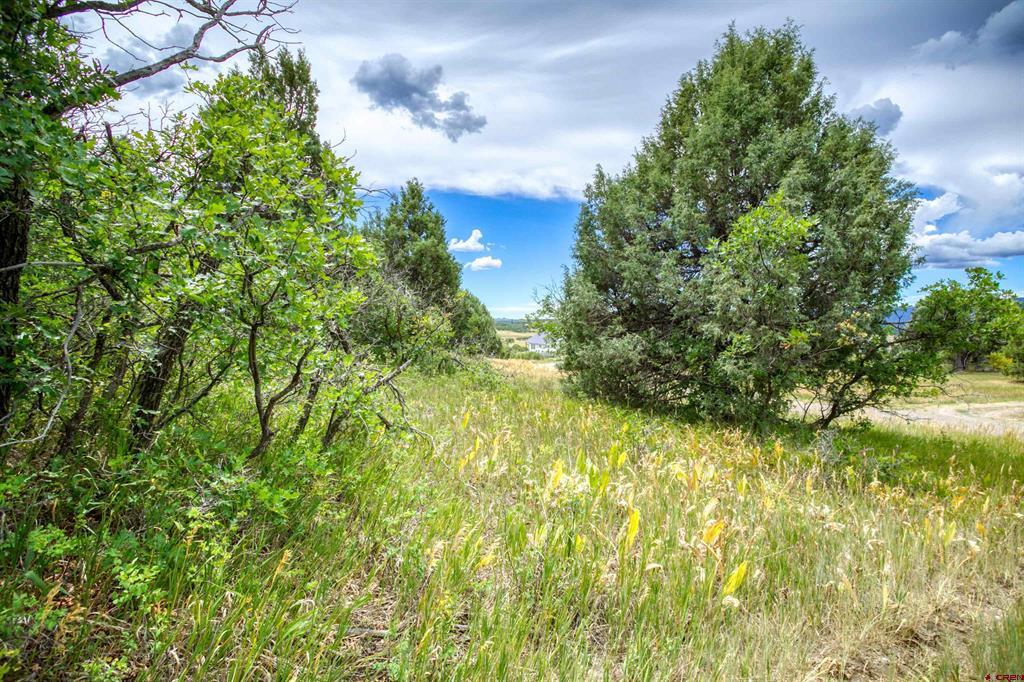 1698 & 1742 Roush Drive Pagosa Springs CO 81147
