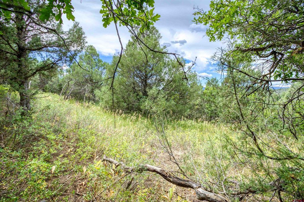 1698 & 1742 Roush Drive Pagosa Springs CO 81147