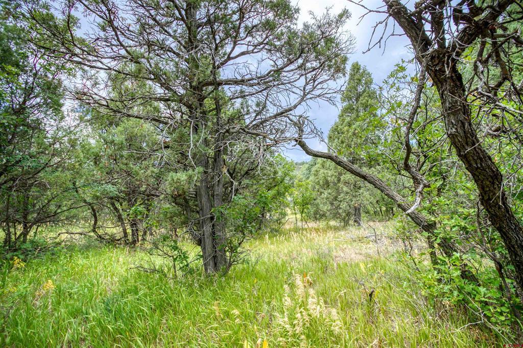 1698 & 1742 Roush Drive Pagosa Springs CO 81147