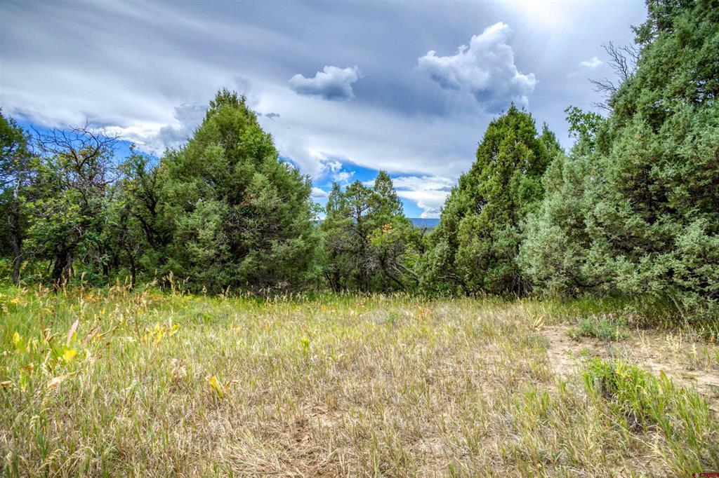 1698 & 1742 Roush Drive Pagosa Springs CO 81147