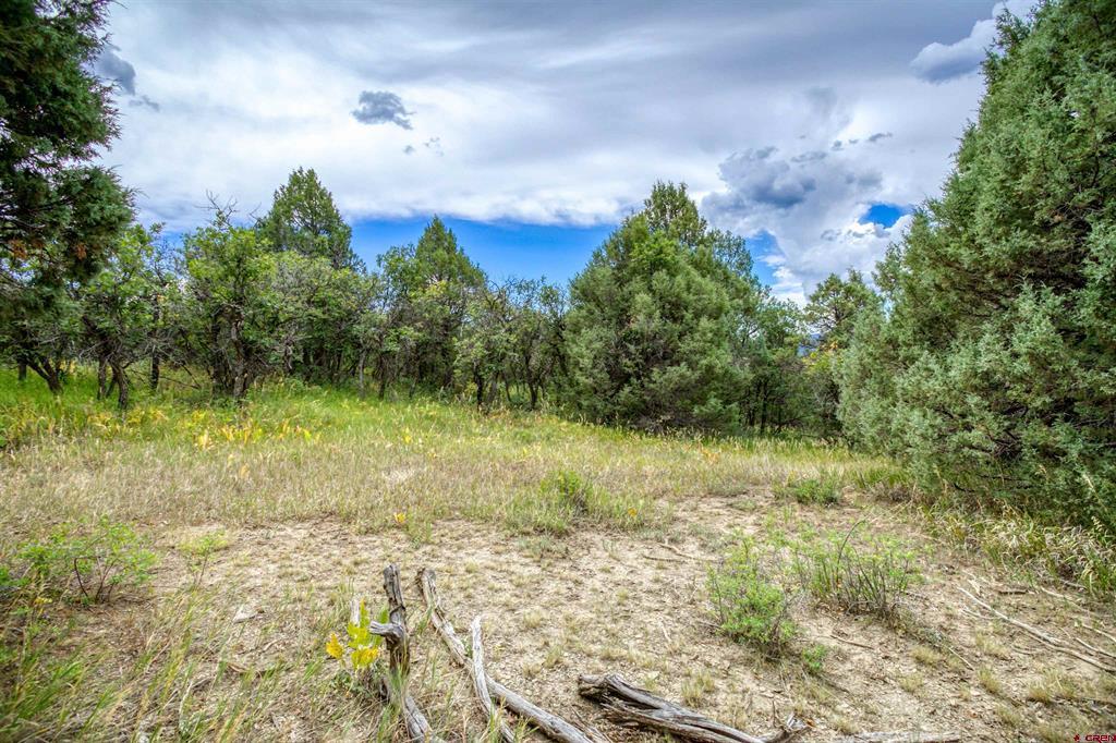 1698 & 1742 Roush Drive Pagosa Springs CO 81147