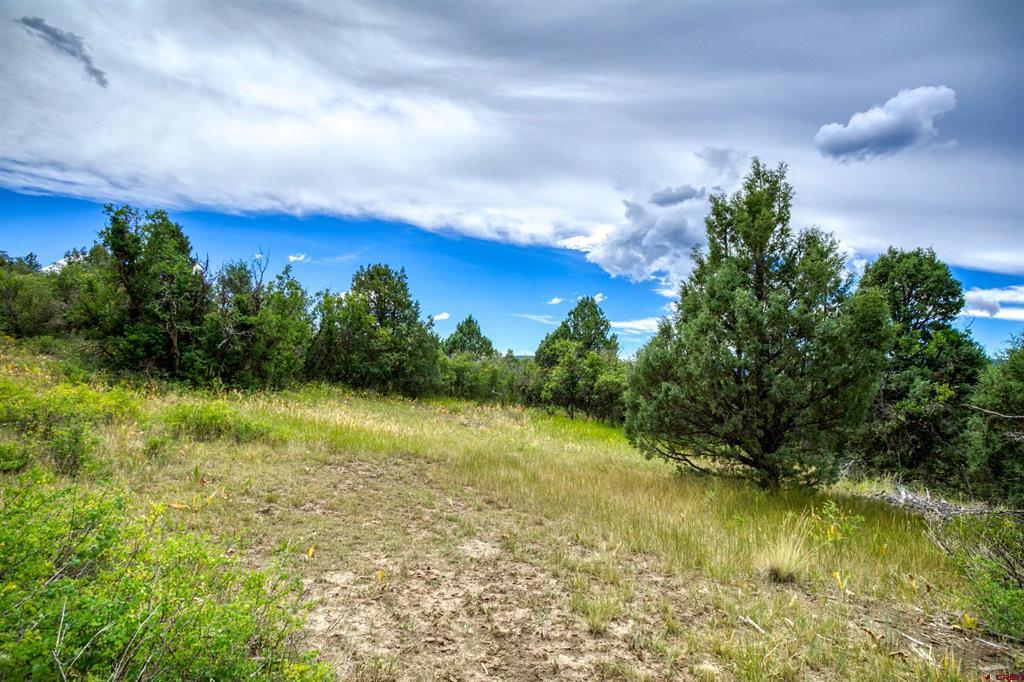 1698 & 1742 Roush Drive Pagosa Springs CO 81147