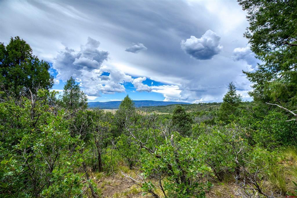 1698 & 1742 Roush Drive Pagosa Springs CO 81147