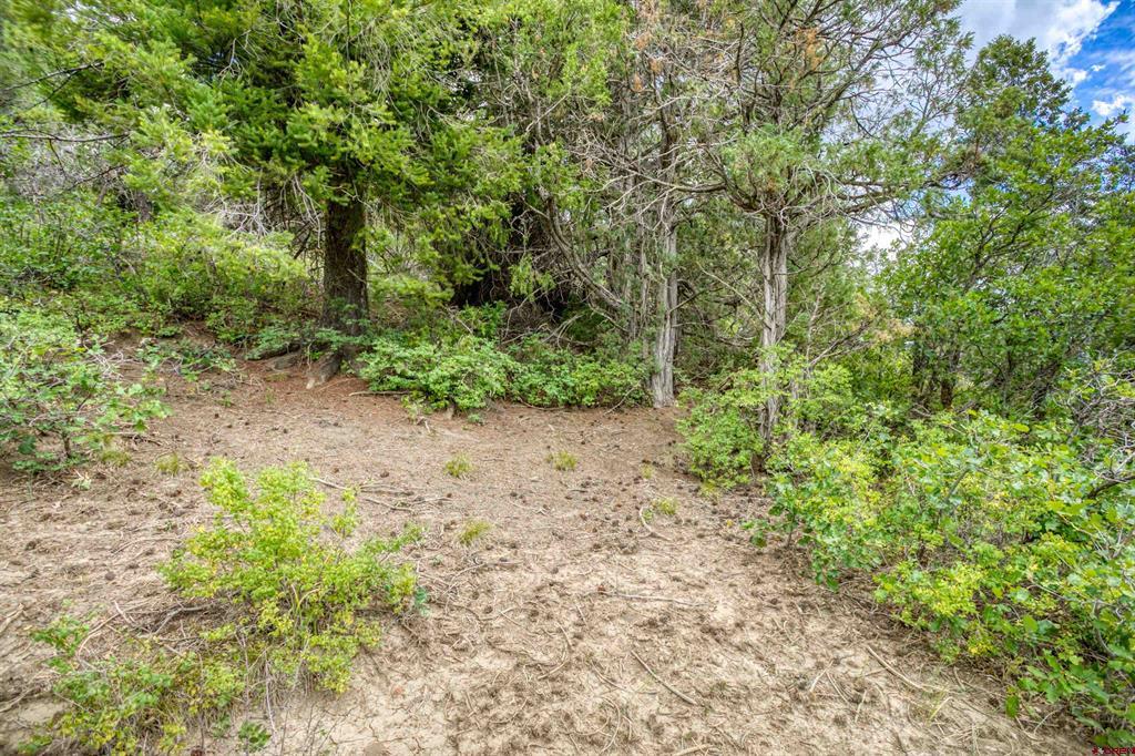 1698 & 1742 Roush Drive Pagosa Springs CO 81147