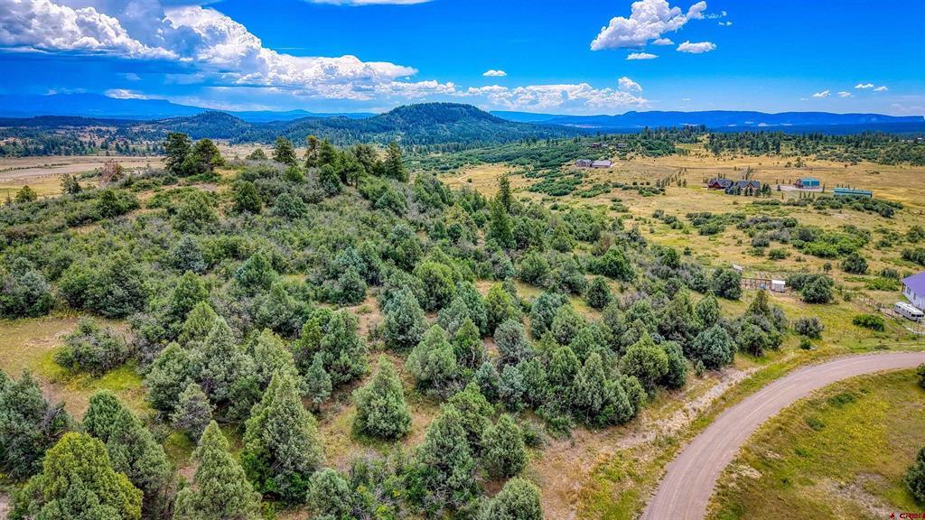 1698 & 1742 Roush Drive Pagosa Springs CO 81147