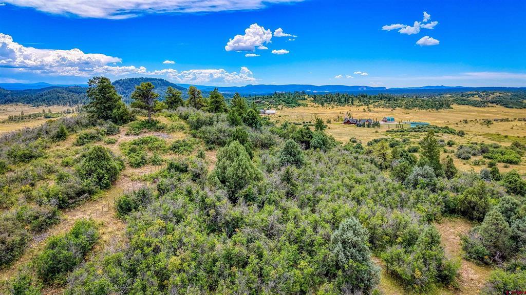 1698 & 1742 Roush Drive Pagosa Springs CO 81147