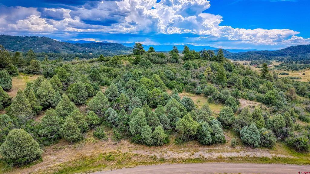 1698 & 1742 Roush Drive Pagosa Springs CO 81147