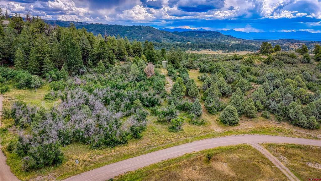 1698 & 1742 Roush Drive Pagosa Springs CO 81147