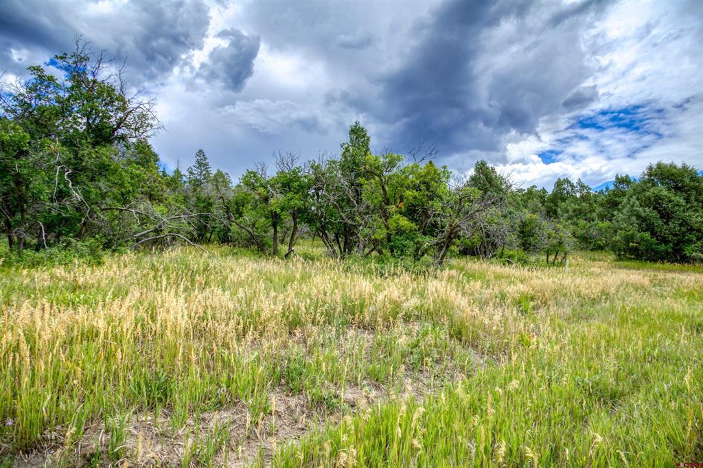 1698 & 1742 Roush Drive Pagosa Springs CO 81147