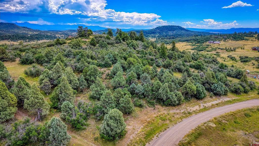 1698 & 1742 Roush Drive Pagosa Springs CO 81147