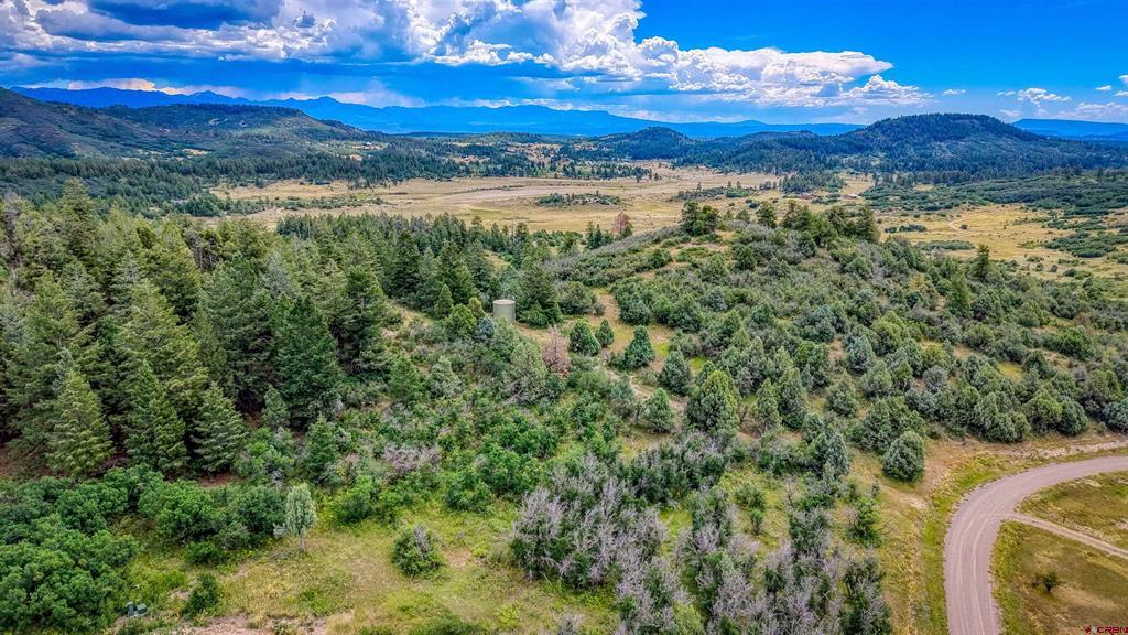 1698 & 1742 Roush Drive Pagosa Springs CO 81147