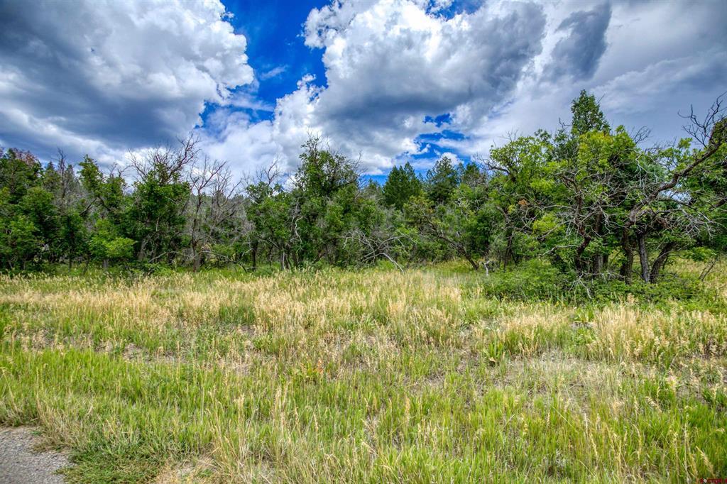 1698 & 1742 Roush Drive Pagosa Springs CO 81147