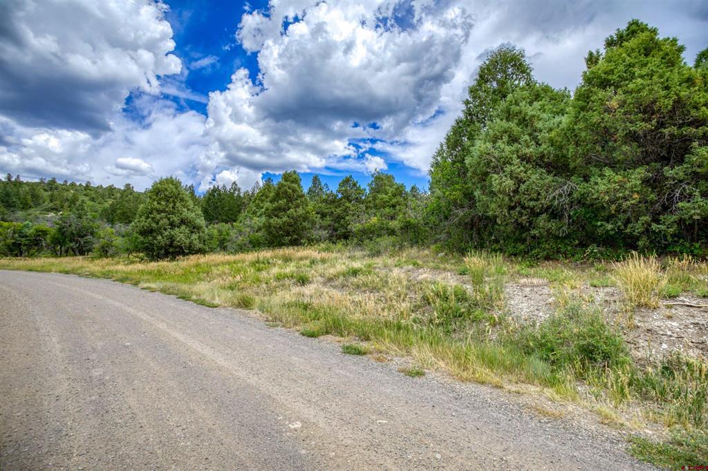 1698 & 1742 Roush Drive Pagosa Springs CO 81147