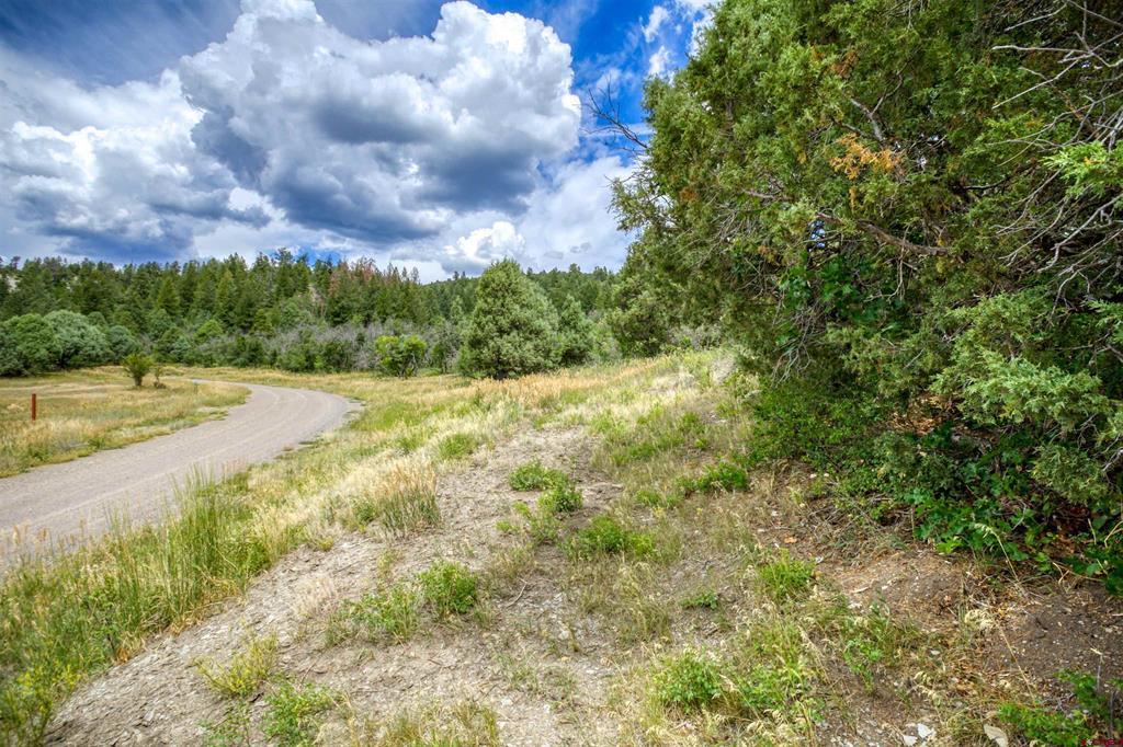 1698 & 1742 Roush Drive Pagosa Springs CO 81147