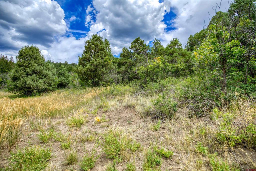 1698 & 1742 Roush Drive Pagosa Springs CO 81147